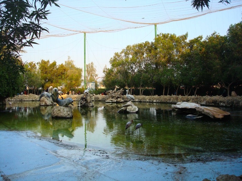 باغ پرندگان جزیره کیش(زیبایی‌ جزیره)