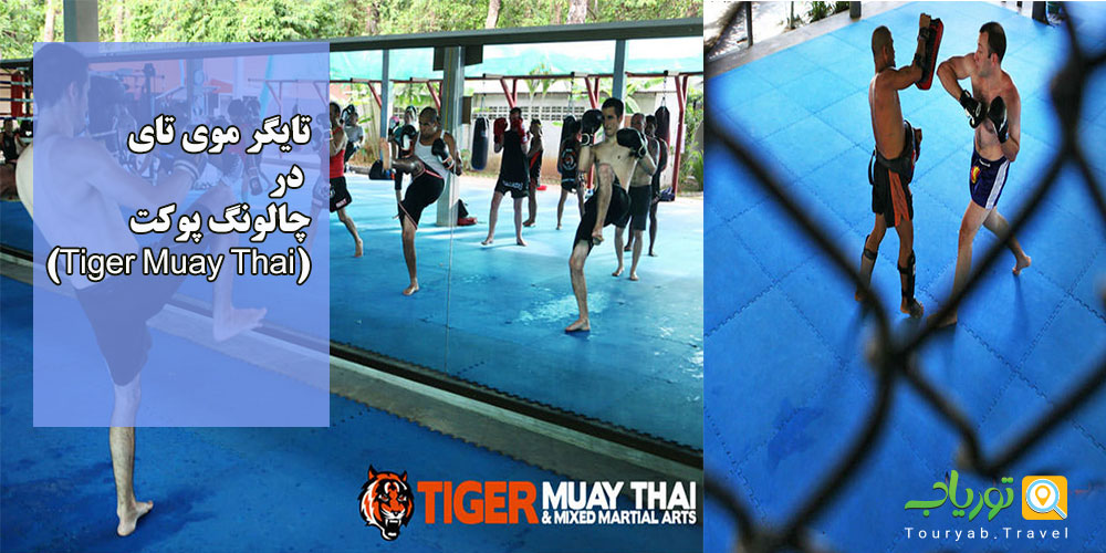 مدارس موی تای در پوکت تایلند(Muay Thai)
