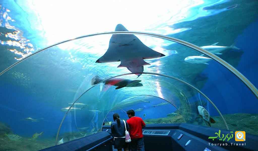 دنیای زیر آب لنکاوی(هیجان زیر دریا)