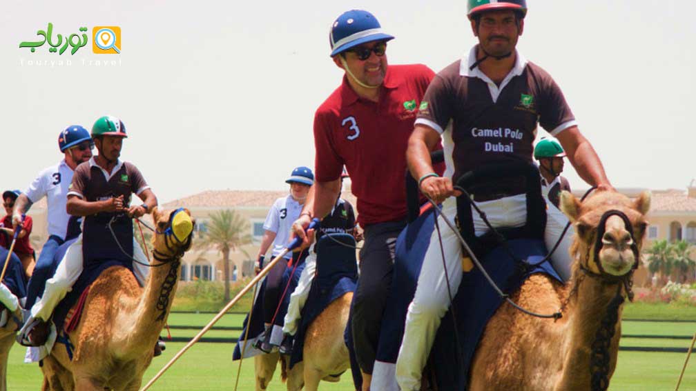 چوگان شتر دبی(کمل پولو)