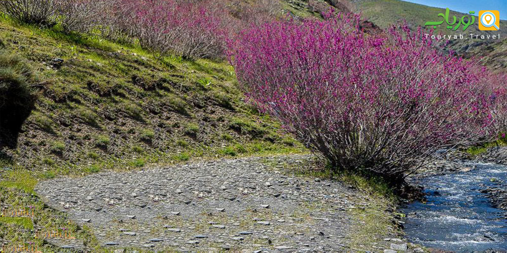 دره ارغوان مشهد، طبیعت زیبای خراسان