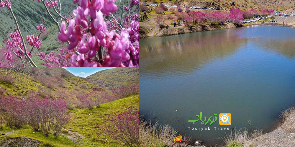 دره ارغوان مشهد، طبیعت زیبای خراسان