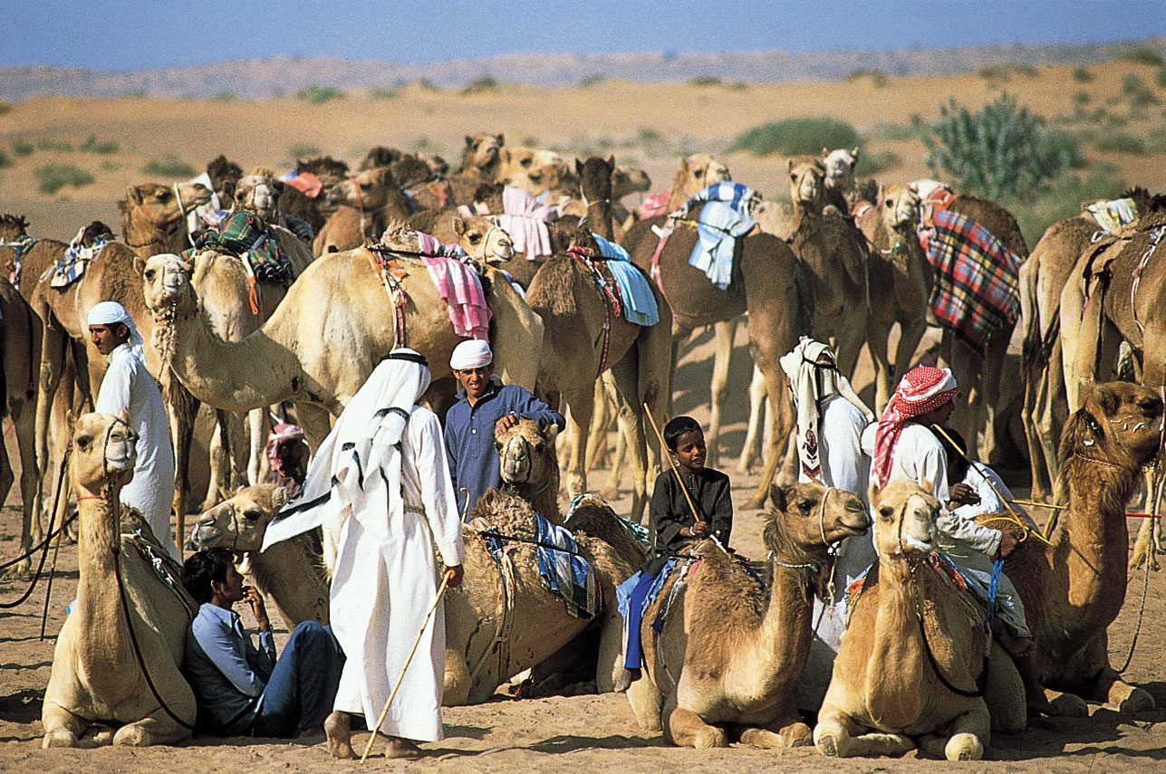 دبی کجاست؟